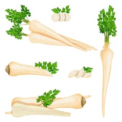 Set of root parsley for banners, flyers, posters, social media. Half root parsley and slices. Root parsley with leaves. Fresh organic and healthy, diet and vegetarian vegetables. Vector illustration