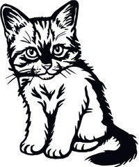 Obraz premium Cat, Peeking kitten - Cheerful kitty isolated on white - vector stock illustration