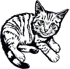 Fototapeta na wymiar Cat, Peeking kitten - Cheerful kitty isolated on white - vector stock illustration