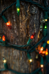 christmas tree lights