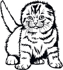 Scottish Fold, Peeking kitten - Cheerful kitty isolated on white - vector stock illustration