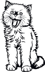 Cat, Peeking kitten - Cheerful kitty isolated on white - vector stock illustration