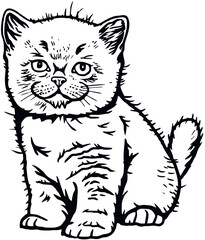 British Shorthair Cat, Peeking kitten - Cheerful kitty isolated on white - vector stock illustration