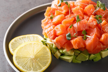 Fresh salmon tartare served with avocado, lemon and microgreen close-up in a plate on a concrete table. Horizontal