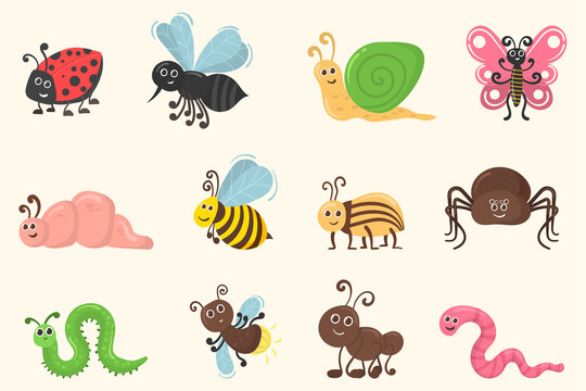 Cute insect characters, bug worm, beetle flat.