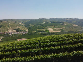 Fototapeta na wymiar Langhe hills with vineyards around near Serralunga d'Alba