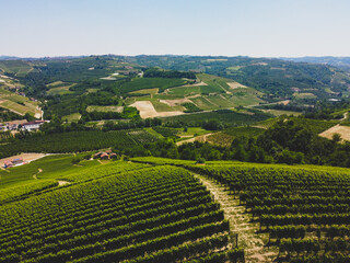 Fototapeta na wymiar Langhe hills with vineyards around near Serralunga d'Alba
