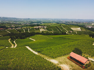 Langhe hills with vineyards around near Serralunga d'Alba