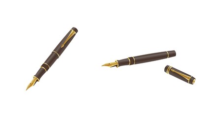 Beautiful pen with golden nib