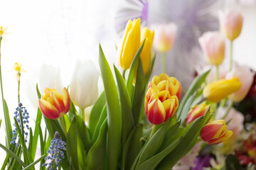 Spring floral composition. Bouquet of tulips and other flowers.