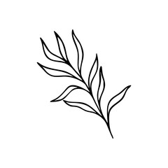 Hand drawn branch with leaves in line art. Vector contour drawing. Minimalism art. Modern decor.