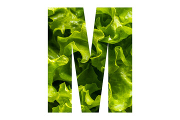 Letter M of the English alphabet made from fresh green lettuce leaves on a white isolated background. Bright alphabet for design