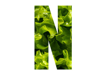 Letter N of the English alphabet made from fresh green lettuce leaves on a white isolated background. Bright alphabet for design