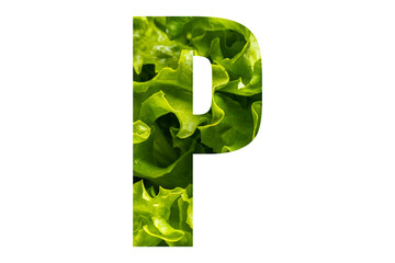 Letter P of the English alphabet made from fresh green lettuce leaves on a white isolated background. Bright alphabet for design