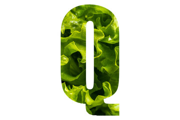 Letter Q of the English alphabet made from fresh green lettuce leaves on a white isolated background. Bright alphabet for design