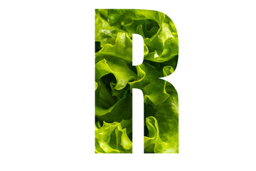 Letter R of the English alphabet made from fresh green lettuce leaves on a white isolated background. Bright alphabet for design