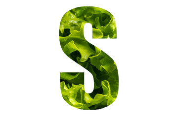 Letter S of the English alphabet made from fresh green lettuce leaves on a white isolated background. Bright alphabet for design
