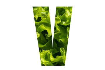 Letter V of the English alphabet made from fresh green lettuce leaves on a white isolated background. Bright alphabet for design