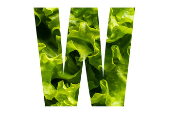 Letter W of the English alphabet made from fresh green lettuce leaves on a white isolated background. Bright alphabet for design