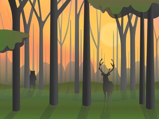 evening forest with animals