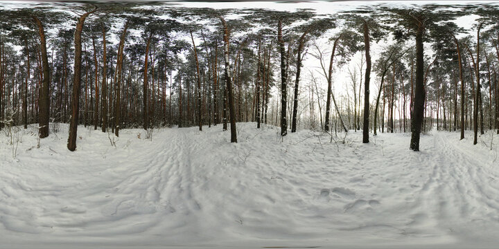 Winter covered with snow Forest HDRI Panorama