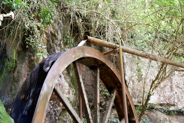 自然の中で動く水車