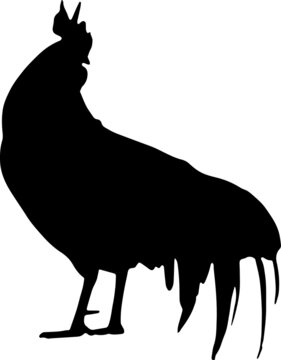 Rooster Silhouettes Rooster SVG EPS PNG