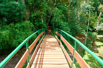 自然の中にある木製の橋