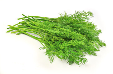 dill isolated on white