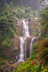 Waterfall in deep forest near Nuwara Eliya in Sri Lanka.