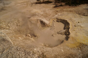 Mud volcano at Yellowstone National Park