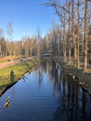 Water Channel in the park. High quality photo