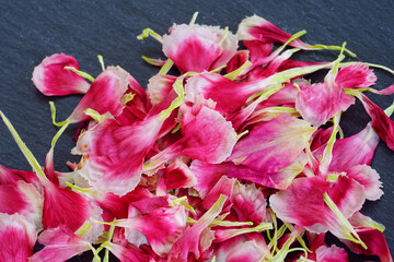 Pressed carnation flower petals in pink and white