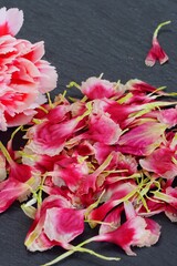 Pressed carnation flower petals in pink and white