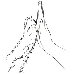 Human hand and dog paw. Friendship © Mariia