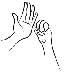 Hand and cat's paw. High five. Friendship between man and cat. 