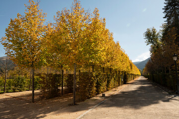 Jardín estilo italiano, en una villa barroca de España