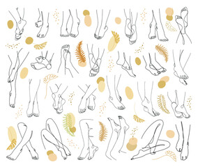 Collection. Silhouettes of human legs and leaves in a modern one line style. Plants solid drawing, decor outline, wall poster, stickers, logo. Vector illustration set.
