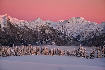Pink sunset sky over the snow covered mountains. View of mountains, alpine forest and clouds in winter near ski resort. Whisler. British Columbia. Canada