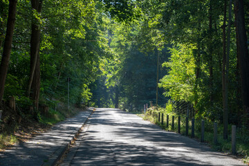 Obraz premium Landscape of entrance to forest trail in Kaiserslautern Germany