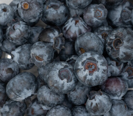 many blueberry berries one isolated on white background