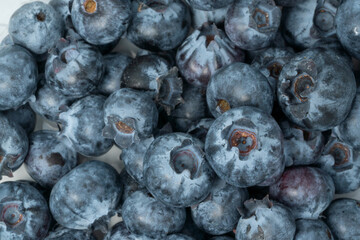 many blueberry berries one isolated on white background