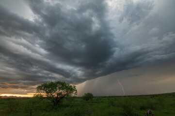 Silhouette trees with dark thunderstorm sky over grassy field 