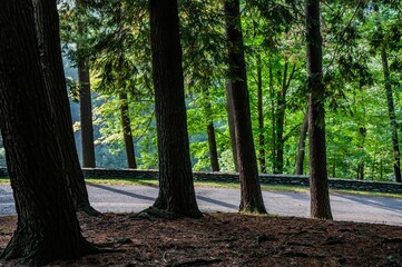 Letchworth State Park Road, New York, USA