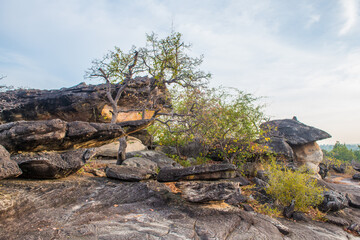 Fototapeta na wymiar Strange rock formations at Phu Pha Thoep National Park, Thailand