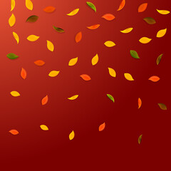 Falling autumn leaves. Red, yellow, green, brown r