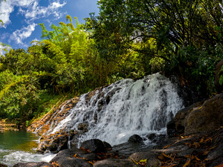 View of Kalpatia waterfall hidden in a forest located in the south of Mauritius island