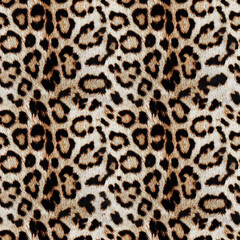 Leopard Fur Texture  