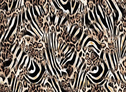 Animal print, African animal texture, zebra and leopard pattern