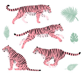 Fototapeta na wymiar Vector set of hand drawn flat pink tigers and palm leaves isolated on white background